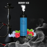 Berry Ice randm shisha 10000