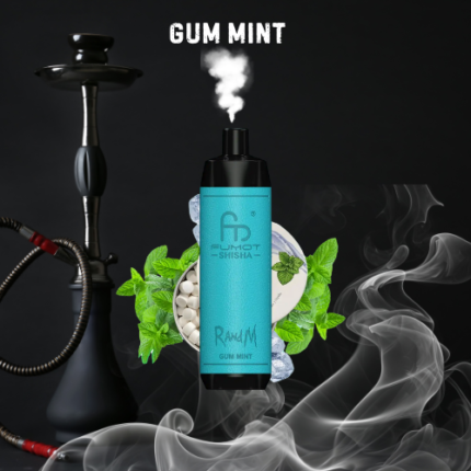 Randm Shisha 10000 Gum Mint